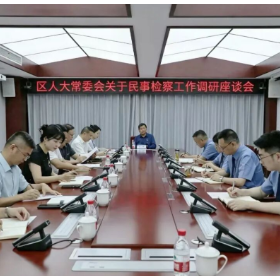 岳阳楼区人大常委会调研区检察院民事检察工作