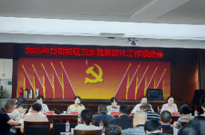 岳阳楼区召开2026年卫生健康统计工作推进会
