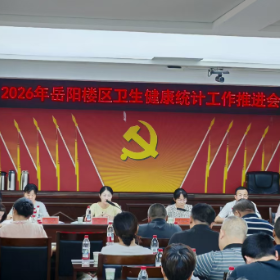 岳阳楼区召开2026年卫生健康统计工作推进会