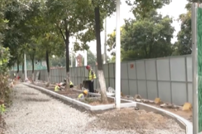 主城区四条道路人行道海绵城市改造工程加快推进