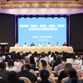 岳阳楼区:推进“企业服务年”行动,筑牢依法用工风险防控底线