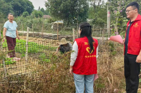 西塘镇：疏堵结合出实招  ——抓实秋季秸秆禁烧与综合利用工作