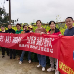 清明踏春行-文明低碳 弘扬文明新风
