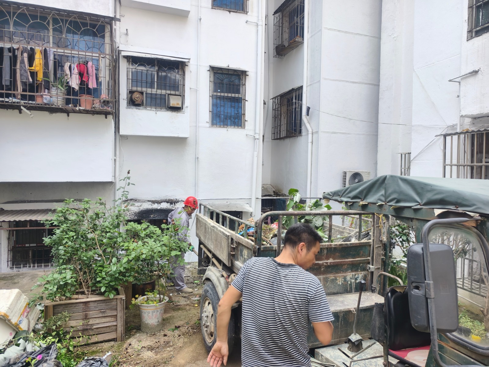 集中清理1(1).jpg