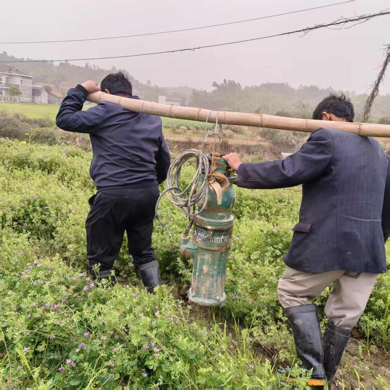 微信图片_20250417160853.jpg