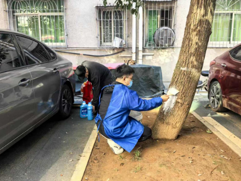 金鹗山街道重湖社区：共商防虫护绿计 同心共建宜居家
