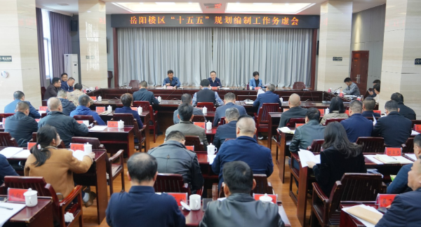 岳阳楼区“十五五”规划编制工作务虚会召开