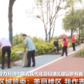 区城管委：美丽楼区 我作表率