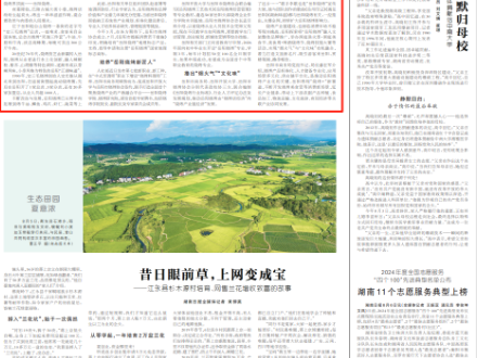 湖南日报刊发|岳阳烧烤，何以由“店经济”迈向“链经济”@湖南日报头条