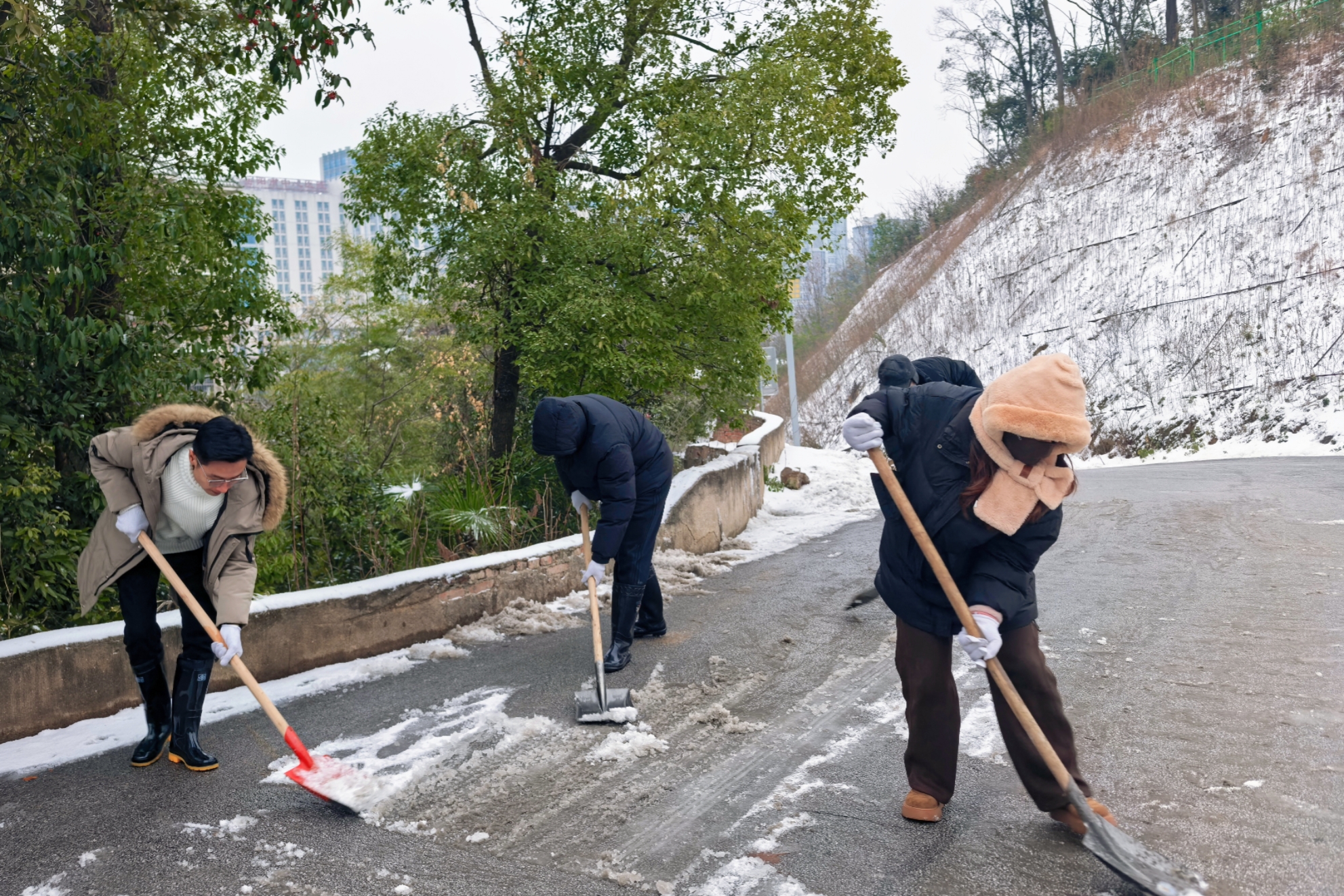 微信图片_2026-01-20_165053_236.png
