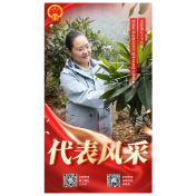 代表风采⑨丨王聪:果园里的人大代表