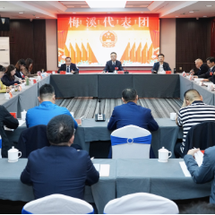岳阳市岳阳楼区第七届人民代表大会第一次会议开展分团讨论