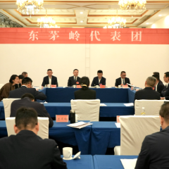 岳阳市岳阳楼区第七届人民代表大会第一次会议继续开展分团讨论