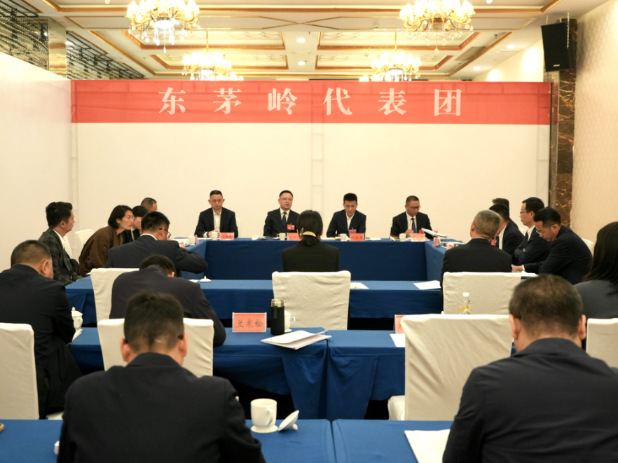 岳阳市岳阳楼区第七届人民代表大会第一次会议继续开展分团讨论