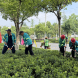 绿化技能大比武 城市园丁秀“花活”