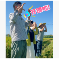 开镰啦！稻浪翻金抢丰收，岳阳楼区康王乡早稻收割进行时。