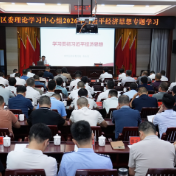 区委理论学习中心组召开2026年习近平经济思想专题学习会