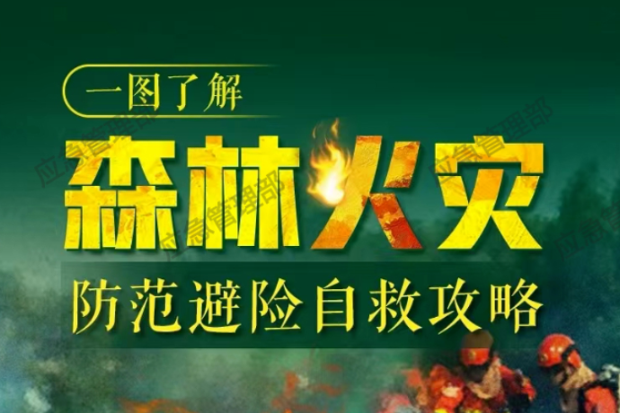 应急科普 | 一图了解森林火灾防范避险自救攻略