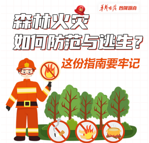 【科普动起来】图解|森林火灾如何防范与逃生？这份指南要牢记
