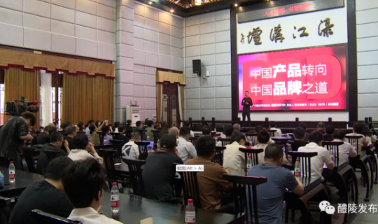 广美教授童慧明作客渌江讲坛