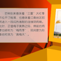 健康与生活：今日芒种