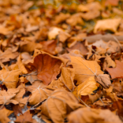 8级大风!已经抵达醴陵