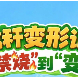 秸秆变形记：从“禁烧”到“变宝”