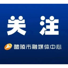 市委常委会召开会议 向青松主持并讲话