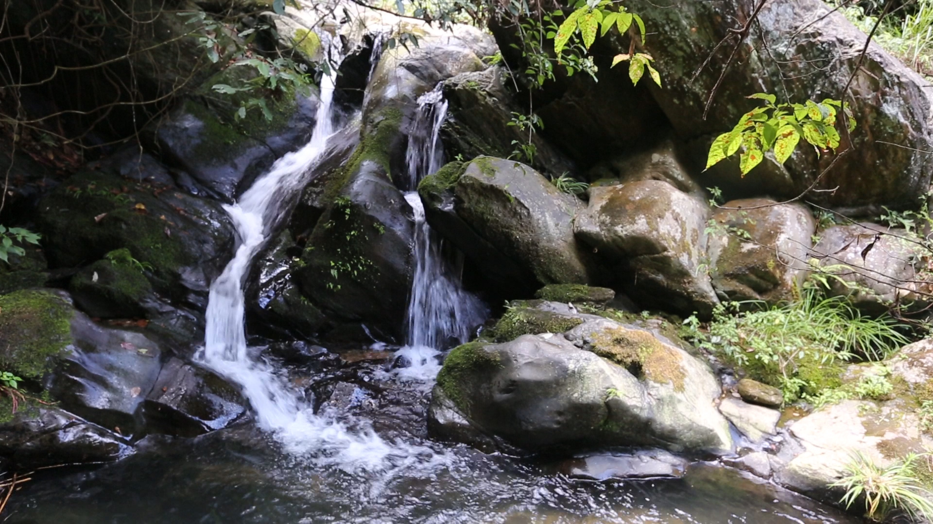 序列 01.00_00_25_10.静止008.jpg