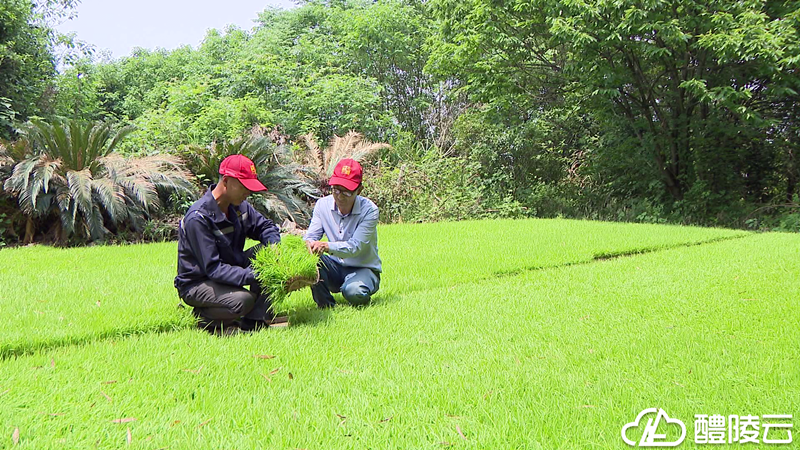 微信图片_20210508161103_副本.png 微信图片_20210508161103_副本.png