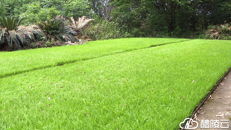 微信图片_20210508161048_副本.png 微信图片_20210508161048_副本.png