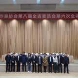 祝贺！渌江讲坛客座教授汤素兰当选省作协主席