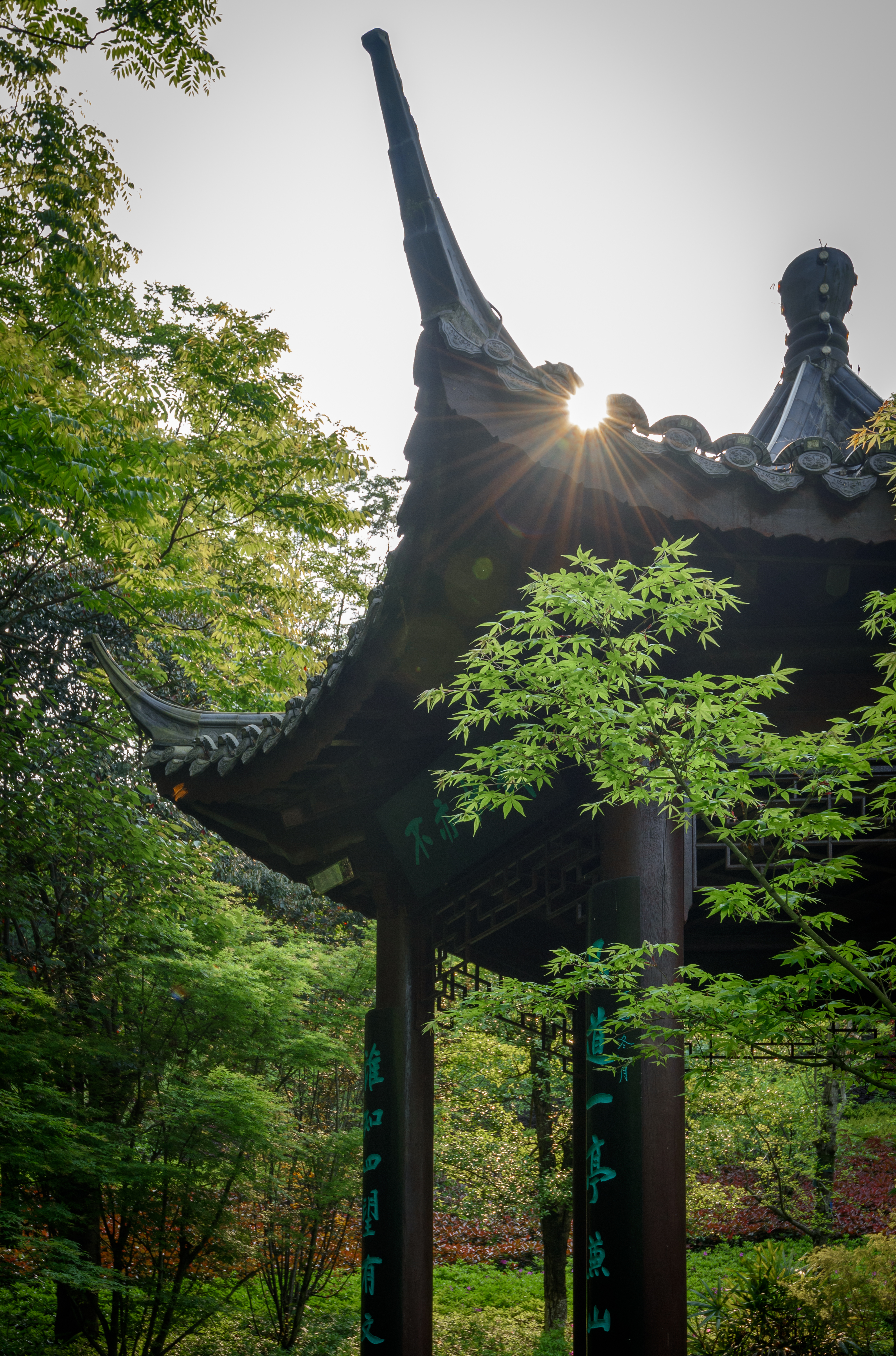 钟朝阳摄1 (19).JPG