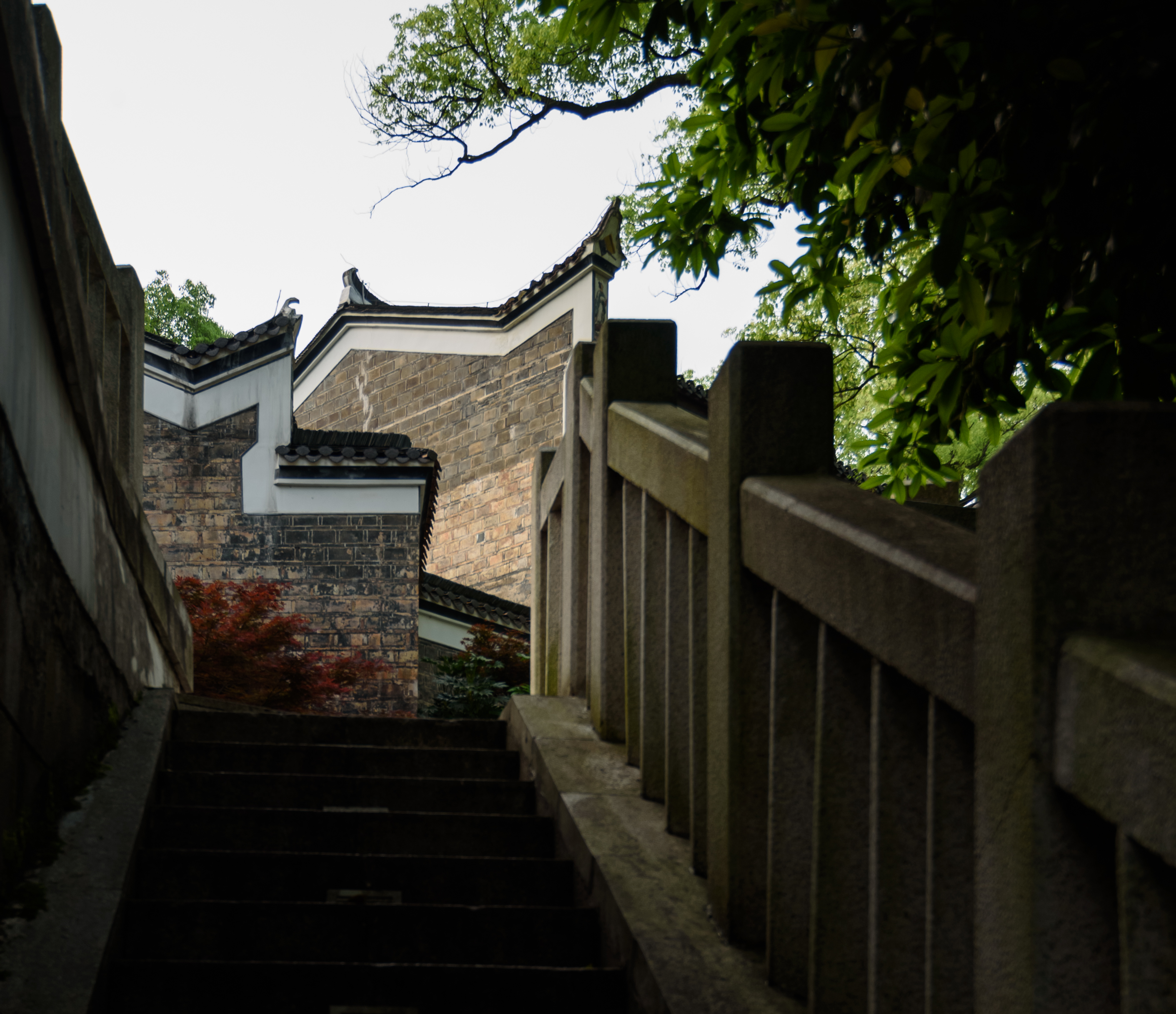 钟朝阳摄1 (25).JPG