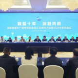 10年，媒体区域深融靠什么？