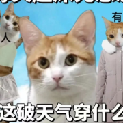 最高29℃!醴陵立冬如立夏