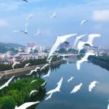 美学印象之四 | 渌江，永恒的情怀之河