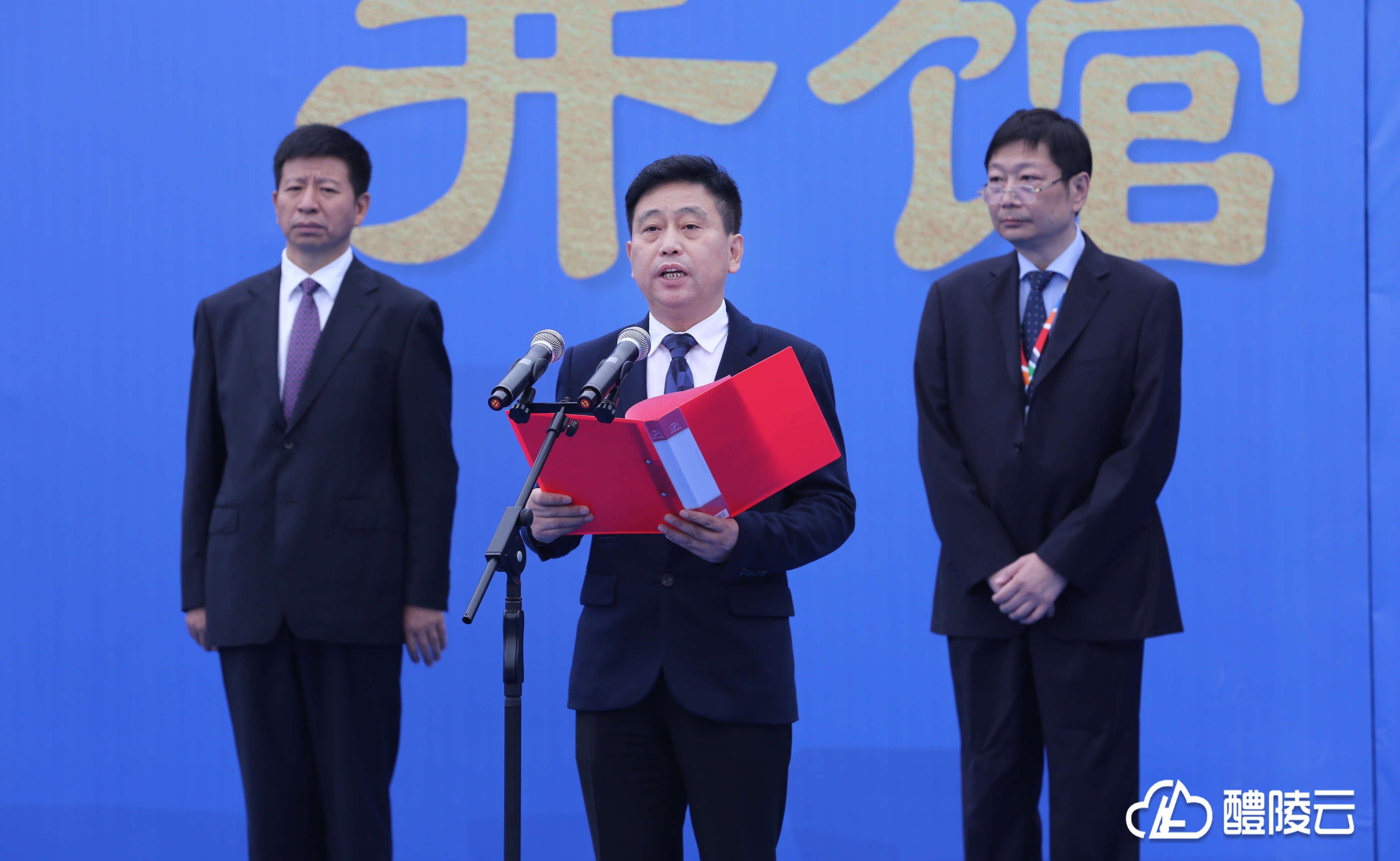 钟勇军,刘海龙,廖胜云,刘政凯,石勇辉,钟国建,黎平等在家醴陵市级领导