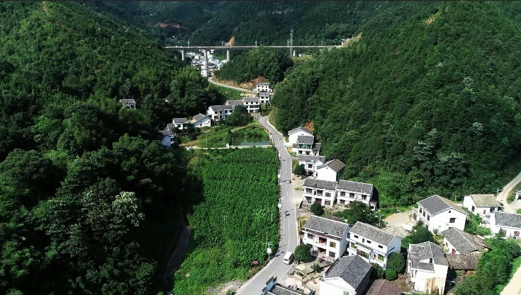 醴陵这条路正在参评全国"十大最美农村路",快来为ta投票助力吧!