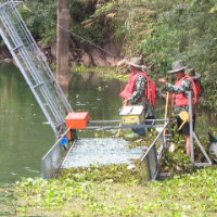 瓷都快讯：守护绿水青山！白兔潭镇清理荷田水库水葫芦