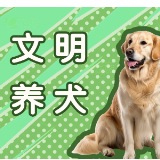 为什么遛狗要拴绳？