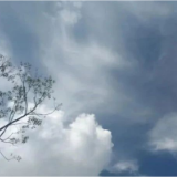 醴陵这位英雄烈女，曾与李大钊共赴刑场