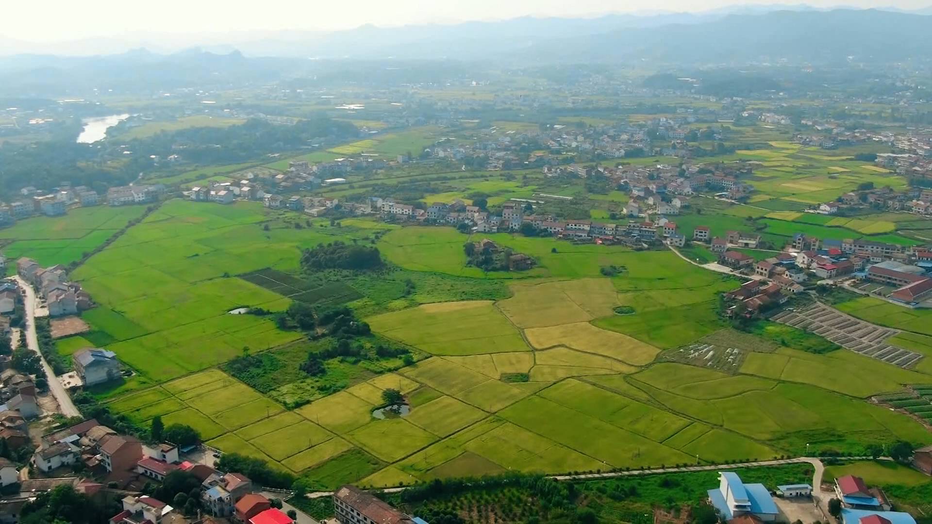 孙家湾镇孙家湾村获评"最美潇湘文化阵地" - 醴陵新闻网