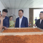 何恩广在醴陵督导调研时强调：推动农业农村高质量发展  阳建参加