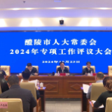 市人大常委会2024年专项工作评议大会召开 王利波 刘新华 阳建参加 贺小玲主持