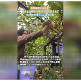 融媒新视界