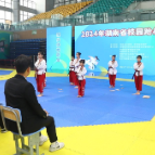 63所学校参加：湖南省校园跆拳道比赛在醴打响