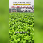融媒新视界