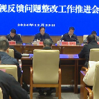 省委巡视反馈问题整改工作推进会召开 王利波讲话，刘新华主持，阳建参加