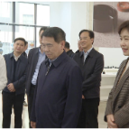 副省长蒋涤非来醴督导历史文化保护传承工作，陈旌、李爱武、刘飞勇参加，王利波、刘新华分别陪同